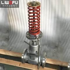 自力式壓力調(diào)節(jié)閥：科技引領(lǐng)，壓力控制新篇章
